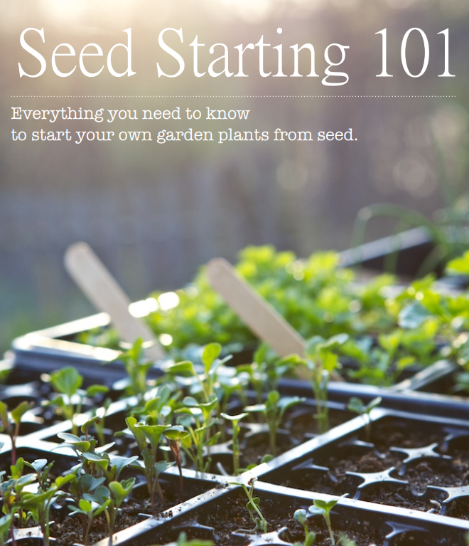 Seed Starting 101 E-Book