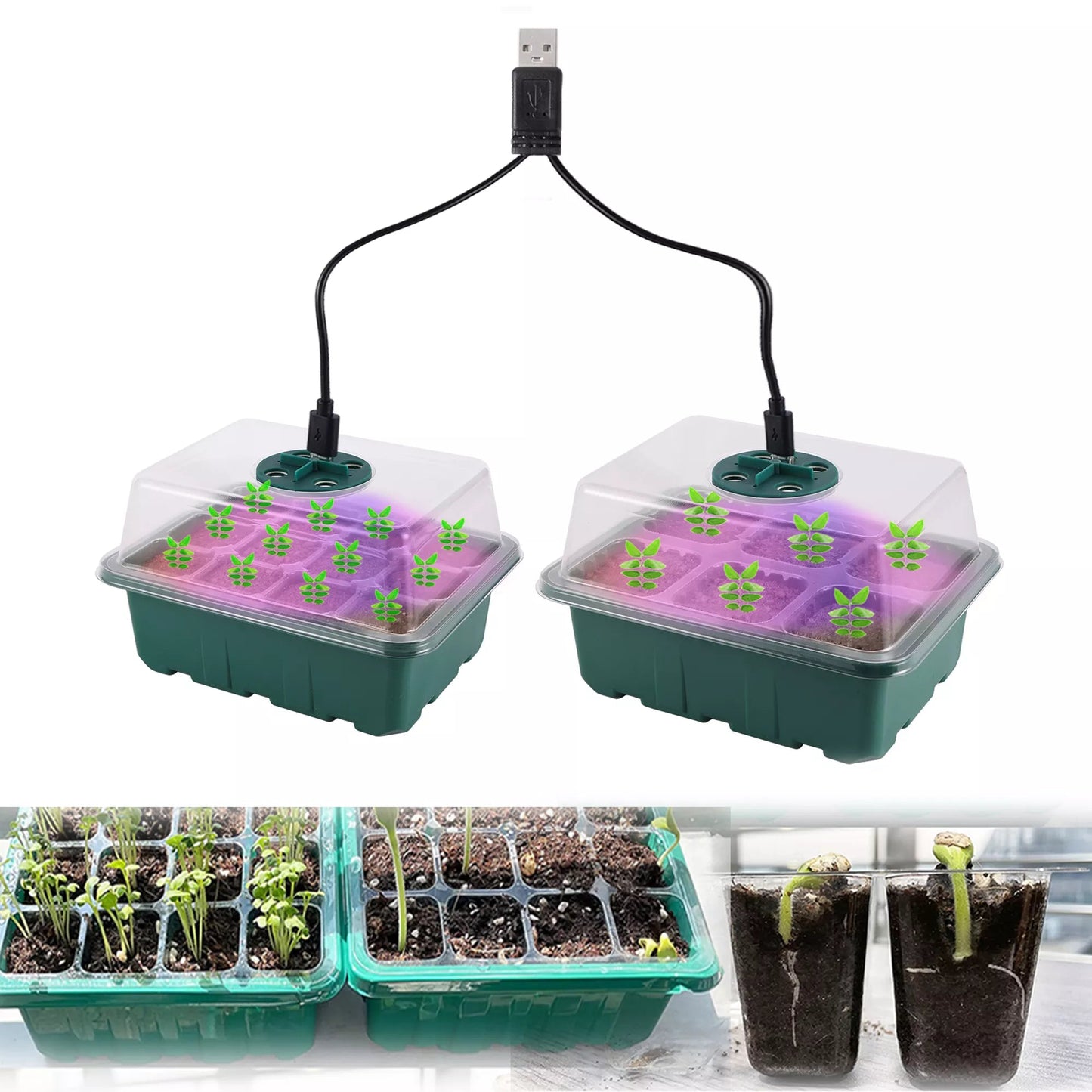 Premium Seed Starter Tray with Adjustable LED Grow Light - Ideal for Rapid Seedling Germination and Optimal Humidity Control